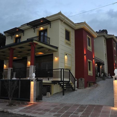 Апартаменты Dominique Meteora House Калампака Экстерьер фото